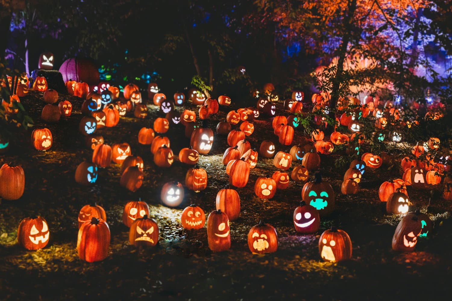 Verklede gasten op een sfeervol Halloweenfeest